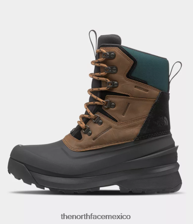 The North Face calzado NFHLJL1267 marrón tostado/tnf negro hombres botas impermeables chilkat v 400