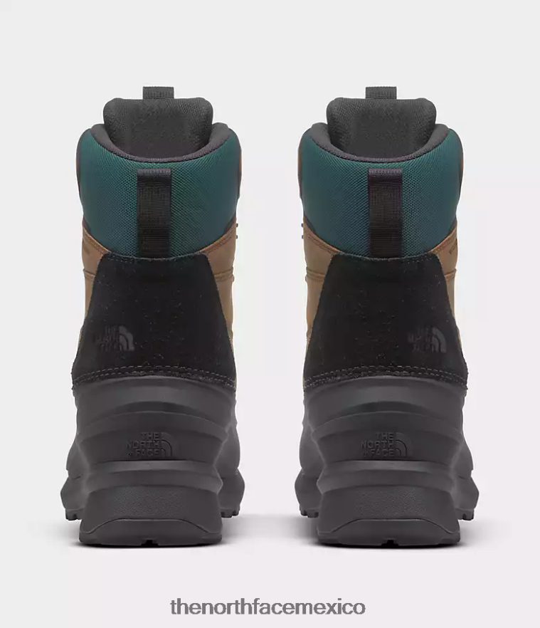 The North Face calzado NFHLJL1267 marrón tostado/tnf negro hombres botas impermeables chilkat v 400