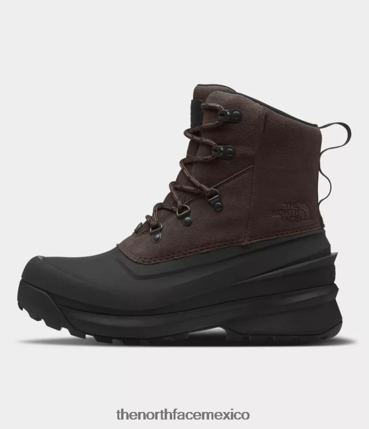 The North Face calzado NFHLJL612 café marrón/tnf negro hombres botas impermeables chilkat v con encaje