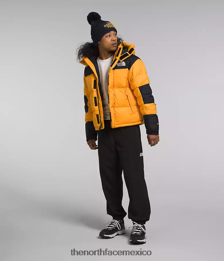 The North Face ropa NFHLJL1004 cumbre oro/tnf negro hombres chaqueta hmlyn baltoro