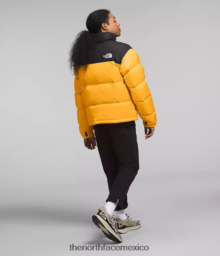 The North Face ropa NFHLJL472 cumbre oro/tnf negro hombres chaqueta retro nuptse 1996