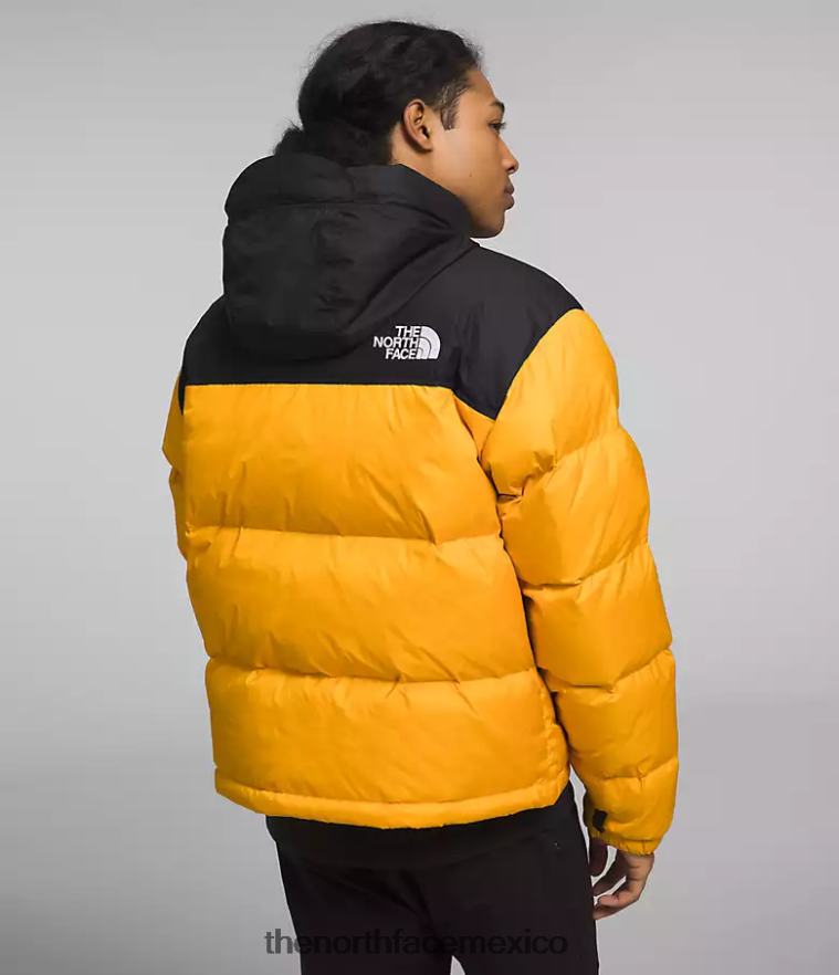 The North Face ropa NFHLJL472 cumbre oro/tnf negro hombres chaqueta retro nuptse 1996