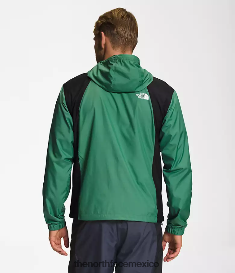 The North Face ropa NFHLJL102 verde hierba intenso/negro tnf hombres chaqueta hidrenalina 2000