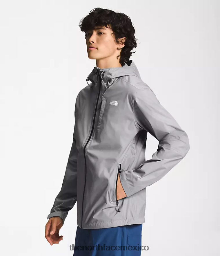 The North Face ropa NFHLJL1246 fusionar gris hombres chaqueta altavista