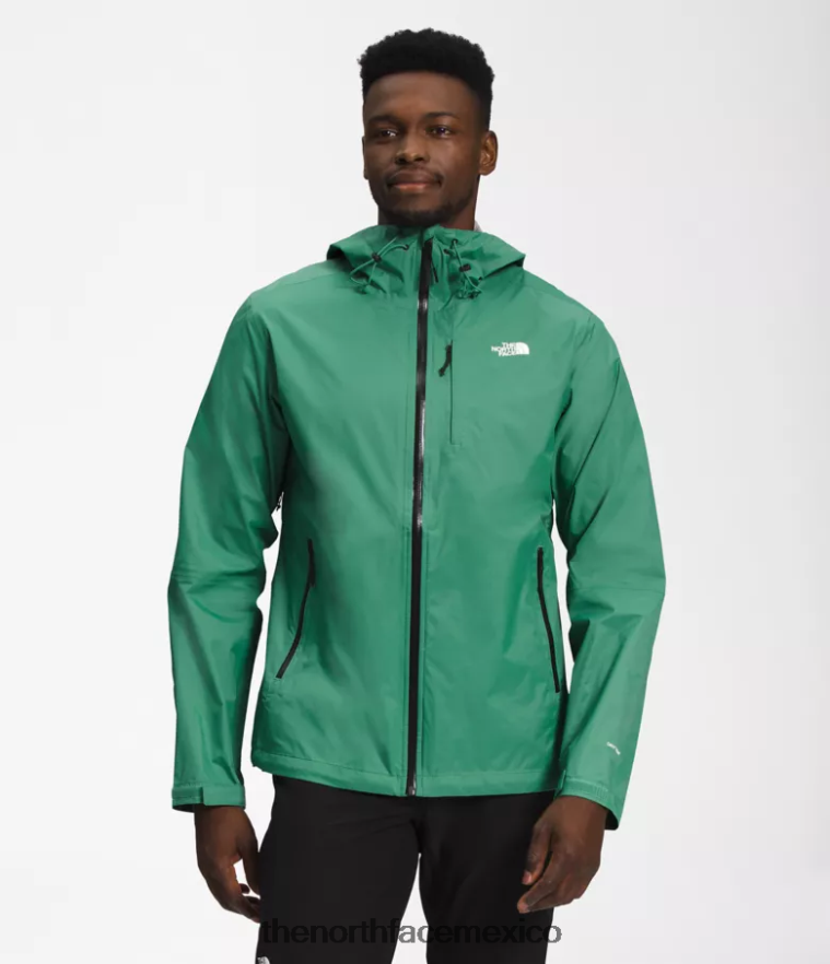 The North Face ropa NFHLJL1248 verde hierba intenso hombres chaqueta altavista
