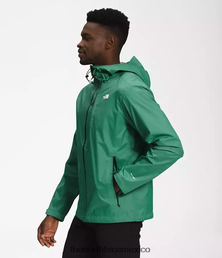 The North Face ropa NFHLJL1248 verde hierba intenso hombres chaqueta altavista