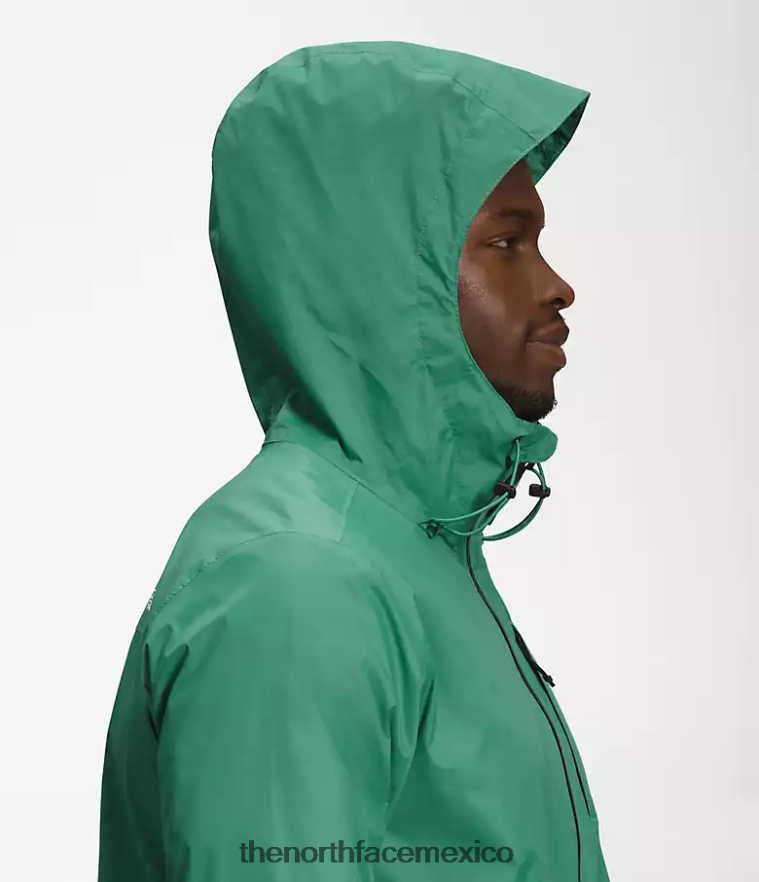 The North Face ropa NFHLJL1248 verde hierba intenso hombres chaqueta altavista