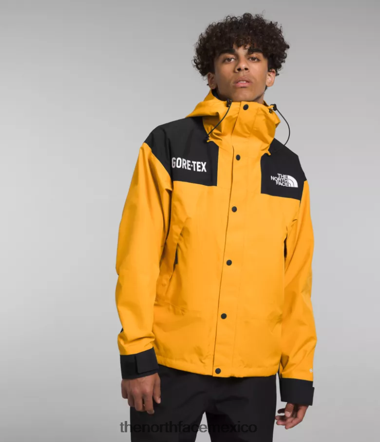 The North Face ropa NFHLJL544 cumbre oro/tnf negro hombres chaqueta montaña gtx