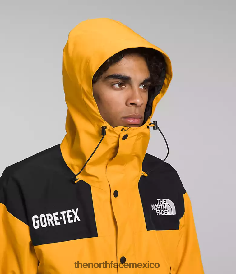The North Face ropa NFHLJL544 cumbre oro/tnf negro hombres chaqueta montaña gtx