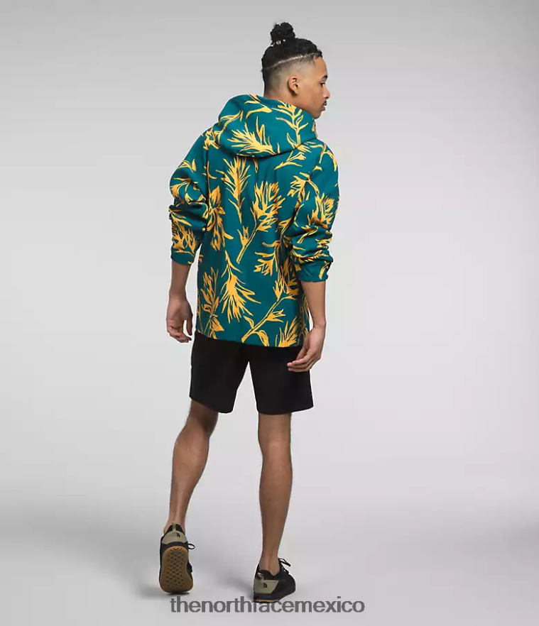 The North Face ropa NFHLJL593 estampado de pincel tropical coral azul hombres jersey clase v