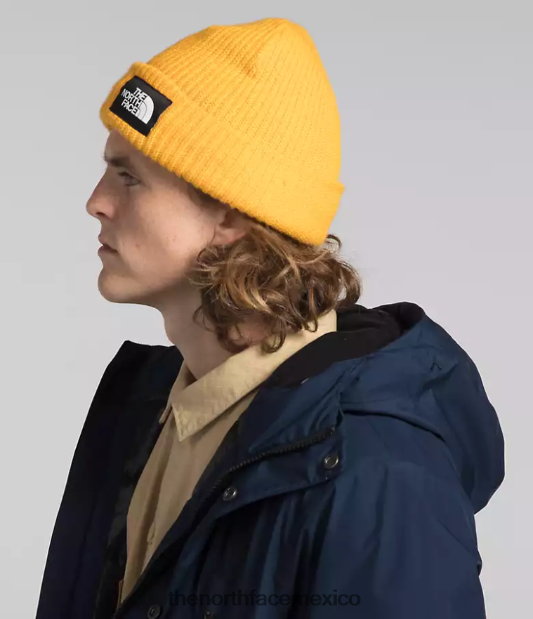 The North Face ropa NFHLJL1069 cumbre marina hombres parka ártica gtx