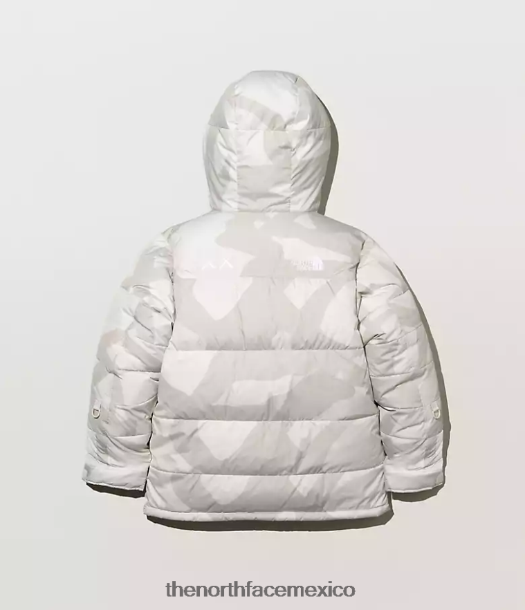 The North Face ropa NFHLJL143 Impresión de himno marfil claro de luna de kw hombres parka himalaya tnf x kaws retro 1994