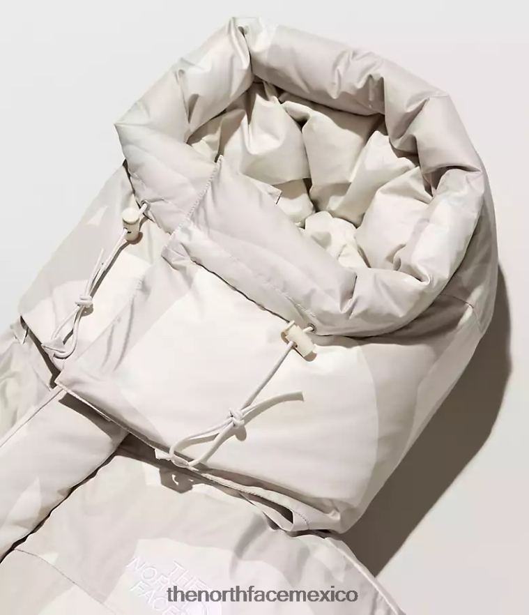 The North Face ropa NFHLJL143 Impresión de himno marfil claro de luna de kw hombres parka himalaya tnf x kaws retro 1994