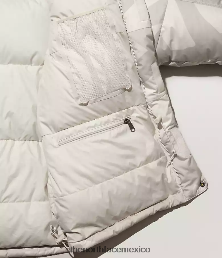 The North Face ropa NFHLJL143 Impresión de himno marfil claro de luna de kw hombres parka himalaya tnf x kaws retro 1994