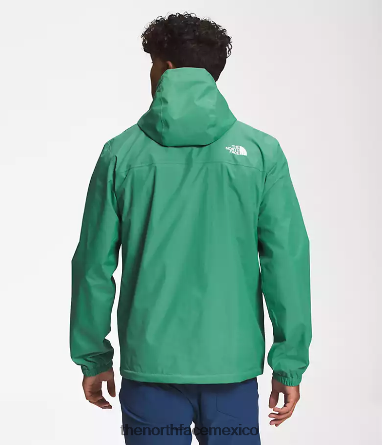 The North Face ropa NFHLJL286 verde hierba intenso hombres chaqueta anora