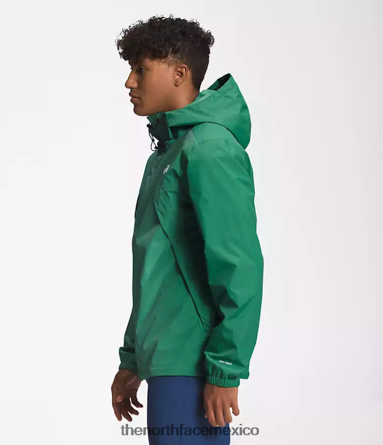The North Face ropa NFHLJL286 verde hierba intenso hombres chaqueta anora