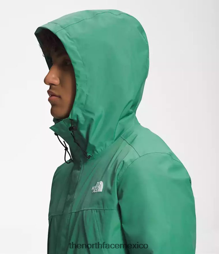 The North Face ropa NFHLJL286 verde hierba intenso hombres chaqueta anora