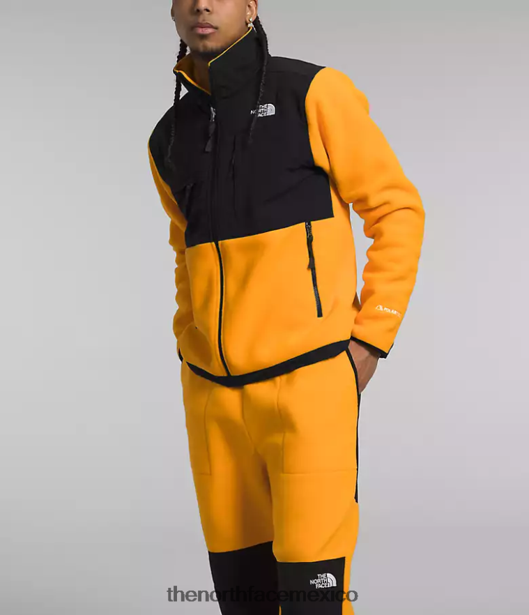The North Face ropa NFHLJL193 cumbre oro/tnf negro hombres chaqueta denali