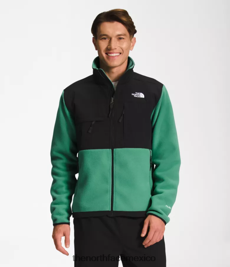 The North Face ropa NFHLJL197 verde hierba intenso hombres chaqueta denali