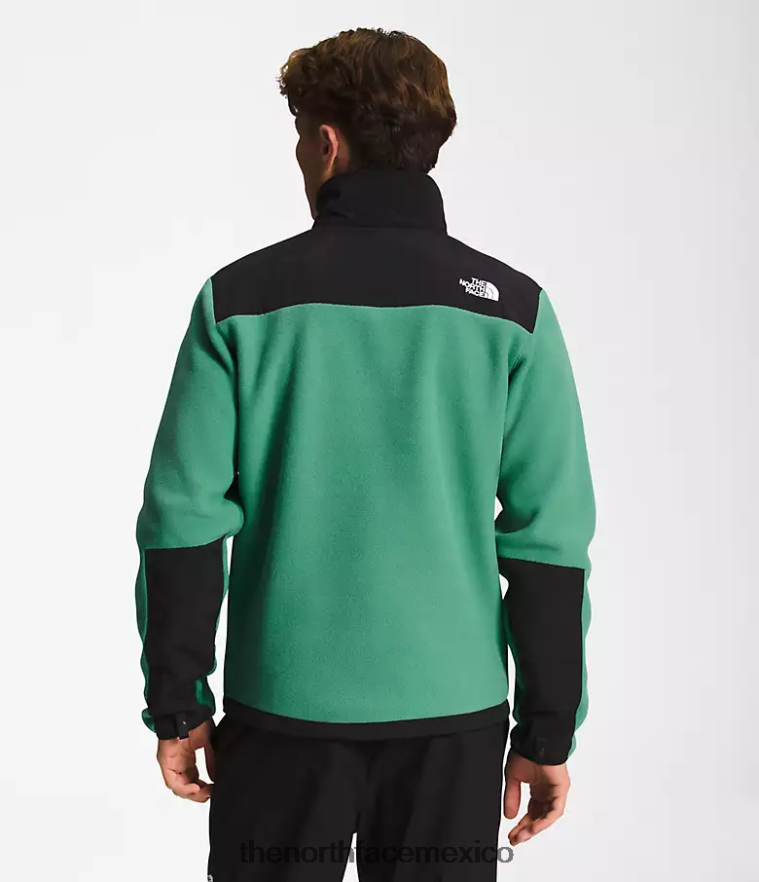 The North Face ropa NFHLJL197 verde hierba intenso hombres chaqueta denali