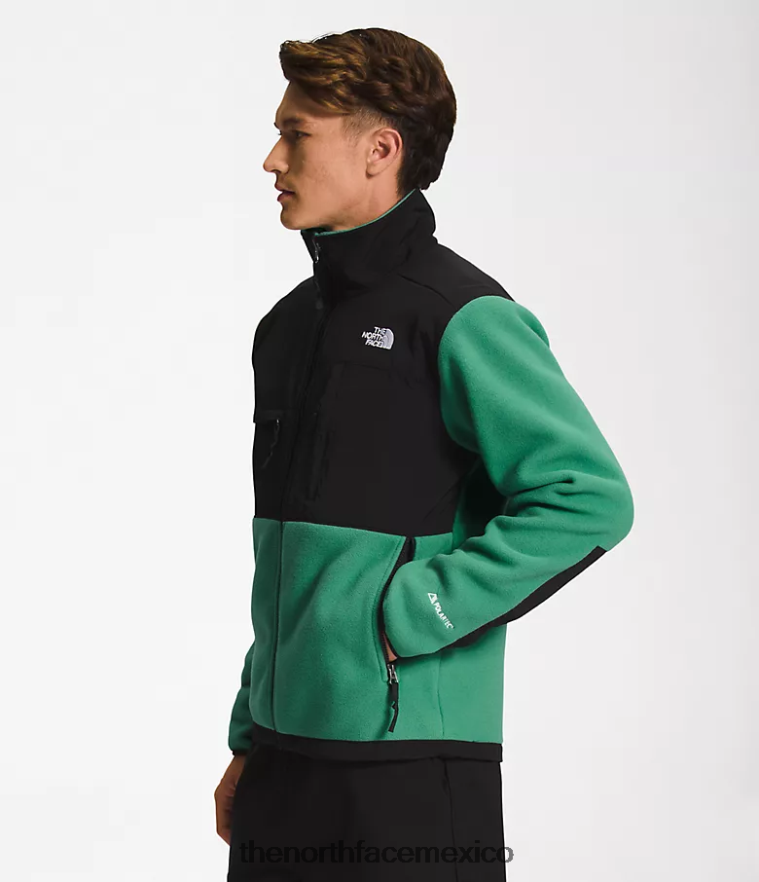 The North Face ropa NFHLJL197 verde hierba intenso hombres chaqueta denali