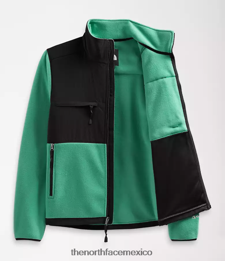 The North Face ropa NFHLJL197 verde hierba intenso hombres chaqueta denali