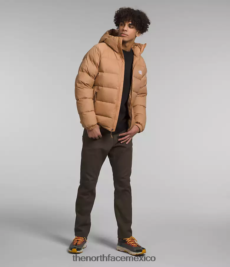 The North Face ropa NFHLJL641 mantequilla de almendras hombres sudadera con capucha de hidrenalita