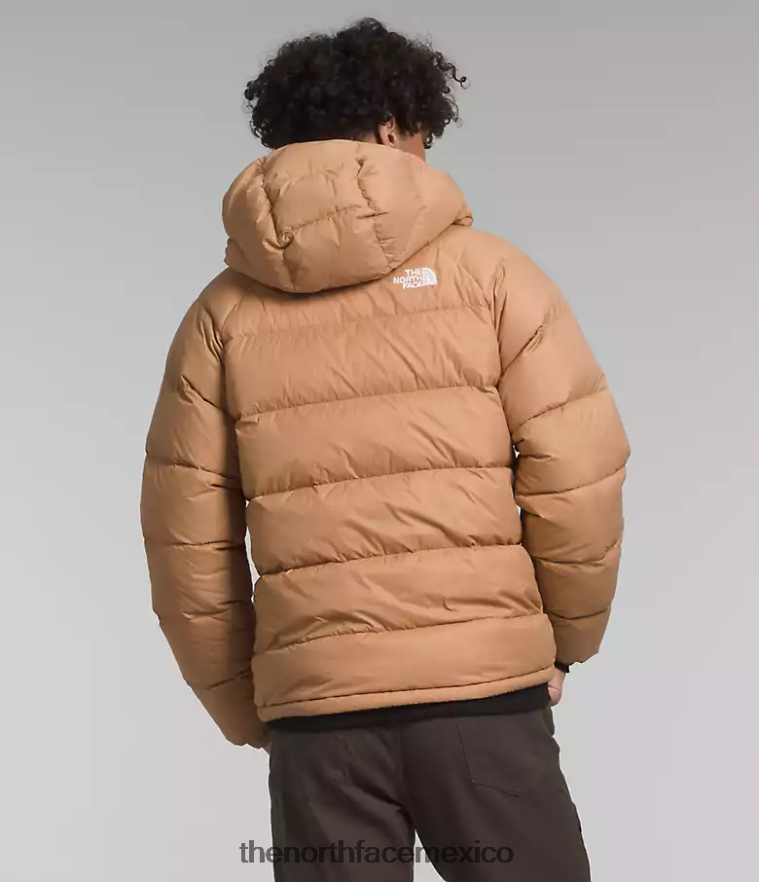 The North Face ropa NFHLJL641 mantequilla de almendras hombres sudadera con capucha de hidrenalita