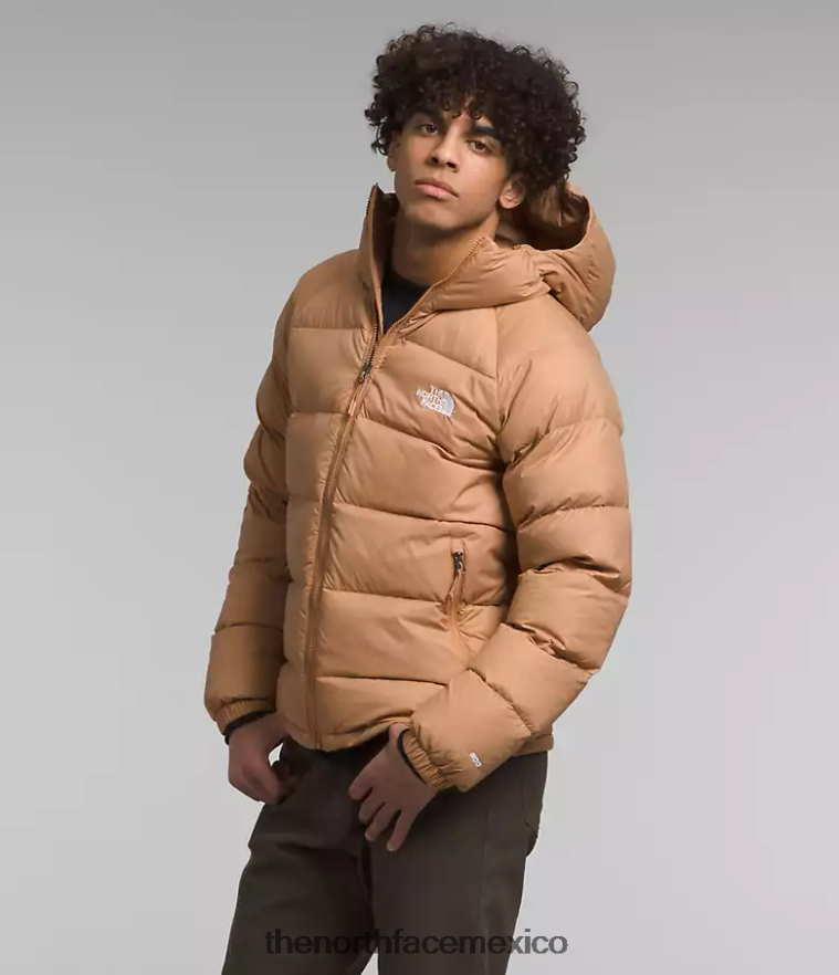 The North Face ropa NFHLJL641 mantequilla de almendras hombres sudadera con capucha de hidrenalita