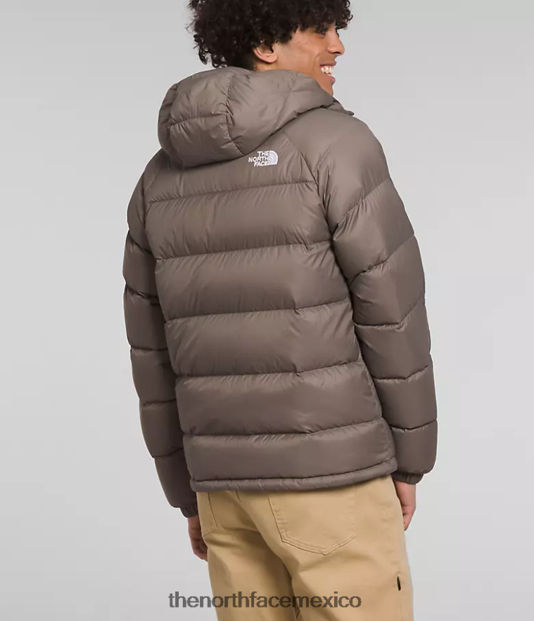 The North Face ropa NFHLJL642 halcón marrón hombres sudadera con capucha de hidrenalita
