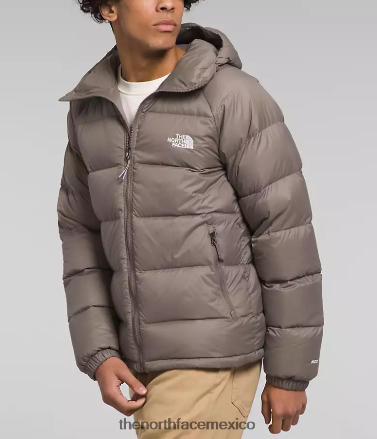 The North Face ropa NFHLJL642 halcón marrón hombres sudadera con capucha de hidrenalita