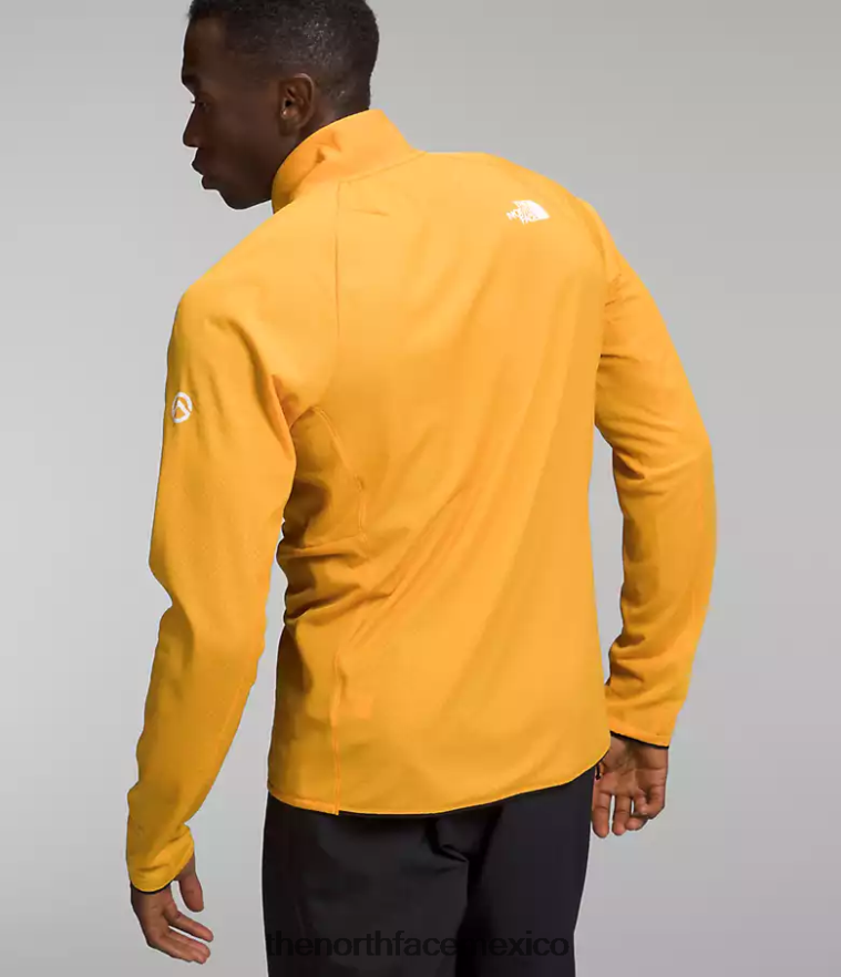 The North Face ropa NFHLJL354 cumbre de oro hombres serie cumbre futurofleece lt -zip