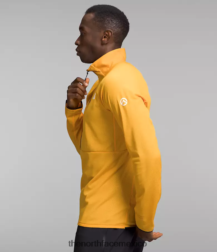 The North Face ropa NFHLJL354 cumbre de oro hombres serie cumbre futurofleece lt -zip