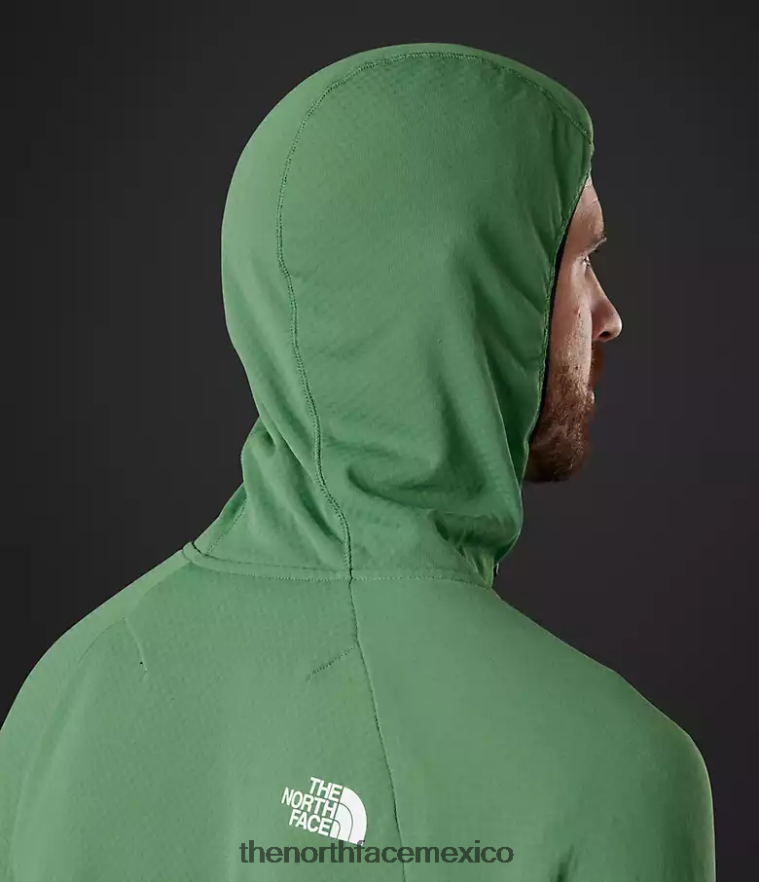 The North Face ropa NFHLJL407 verde hierba intenso hombres Summit Series Futurefleece sudadera con capucha y cremallera completa