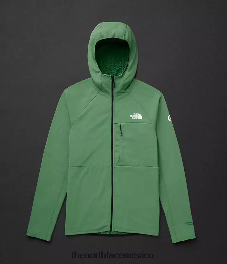 The North Face ropa NFHLJL407 verde hierba intenso hombres Summit Series Futurefleece sudadera con capucha y cremallera completa