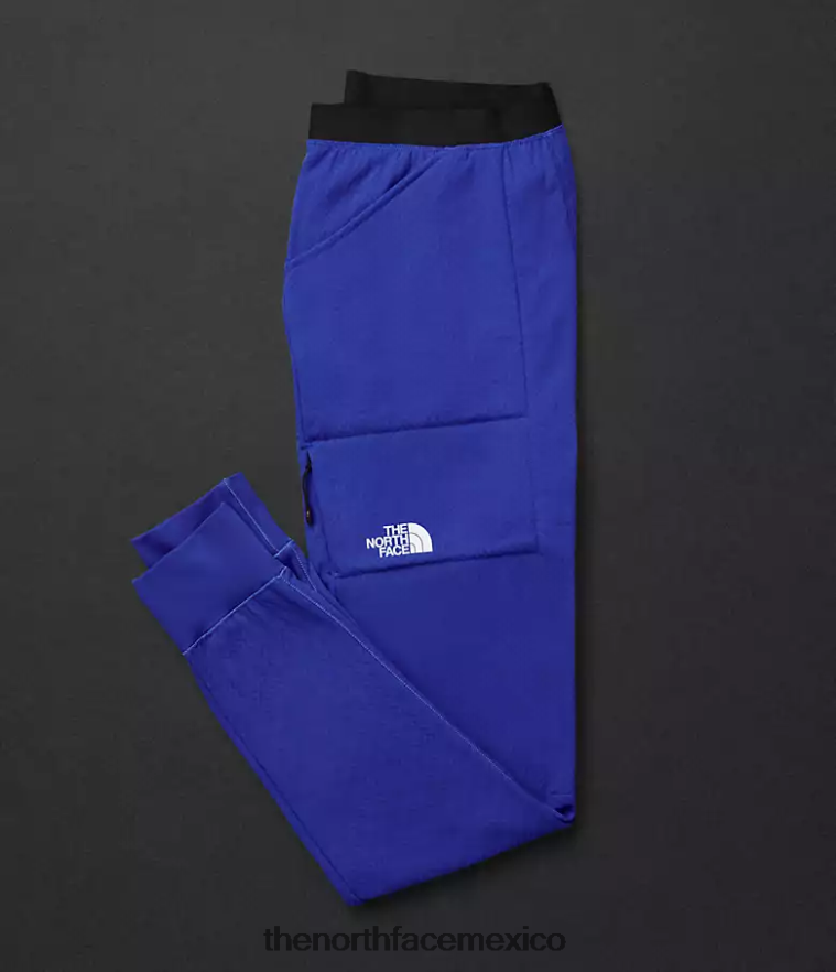 The North Face ropa NFHLJL830 azul hombres pantalones de lana del futuro de la serie Summit
