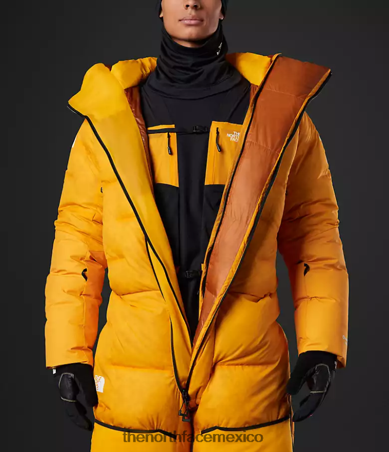 The North Face ropa NFHLJL869 cumbre de oro hombres traje del himalaya