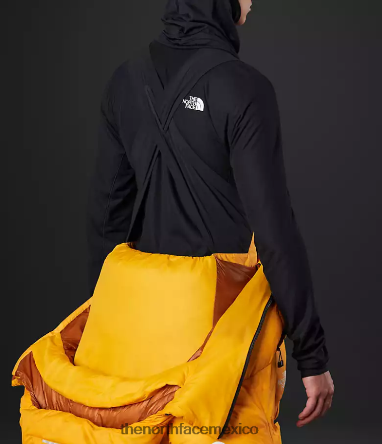 The North Face ropa NFHLJL869 cumbre de oro hombres traje del himalaya