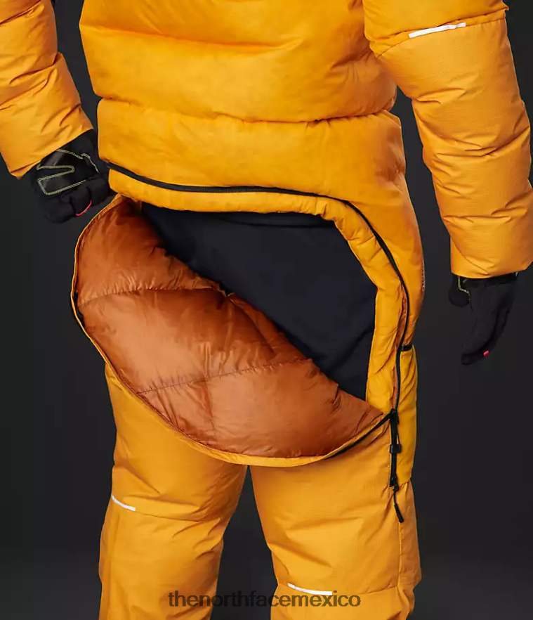The North Face ropa NFHLJL869 cumbre de oro hombres traje del himalaya