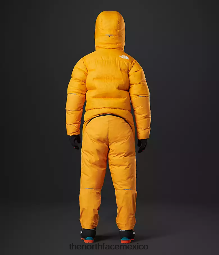 The North Face ropa NFHLJL869 cumbre de oro hombres traje del himalaya