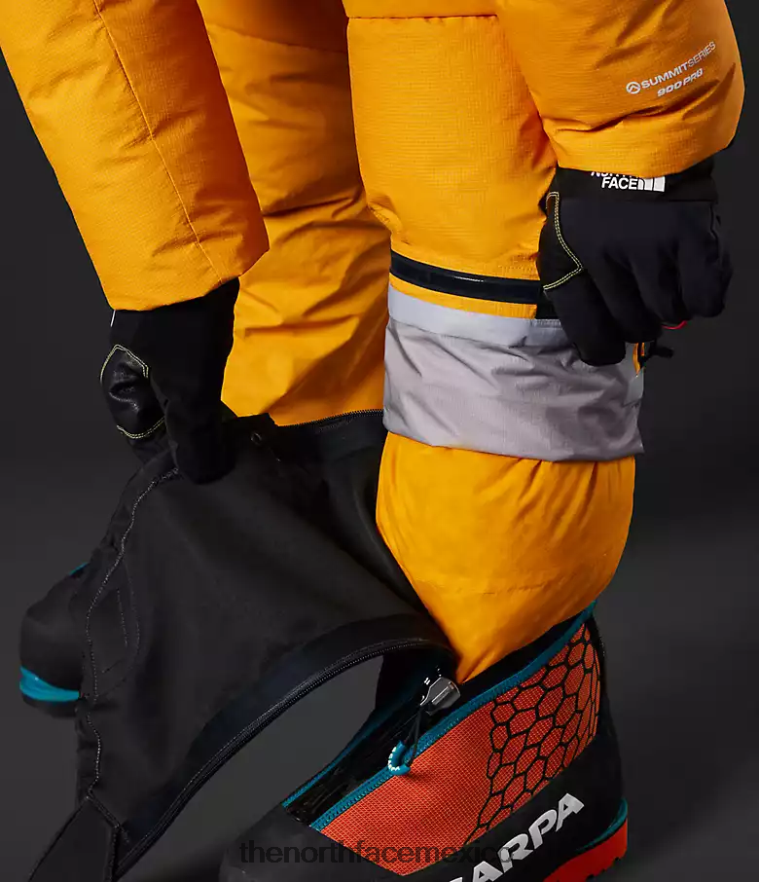 The North Face ropa NFHLJL869 cumbre de oro hombres traje del himalaya