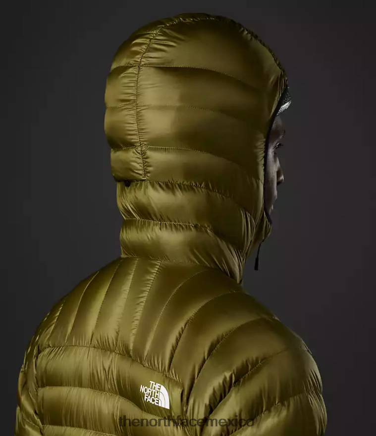 The North Face ropa NFHLJL917 oliva militar hombres sudadera con capucha breithorn serie cumbre