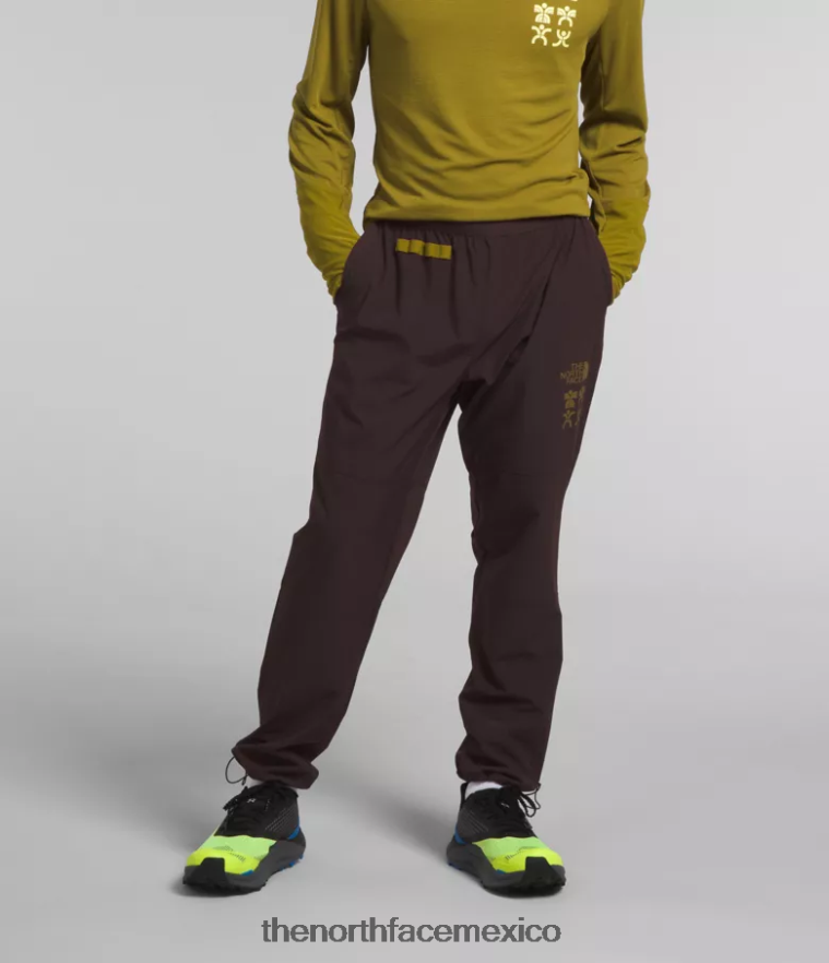 The North Face ropa NFHLJL216 marrón carbón hombres joggers trailwear okt