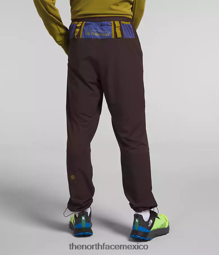 The North Face ropa NFHLJL216 marrón carbón hombres joggers trailwear okt