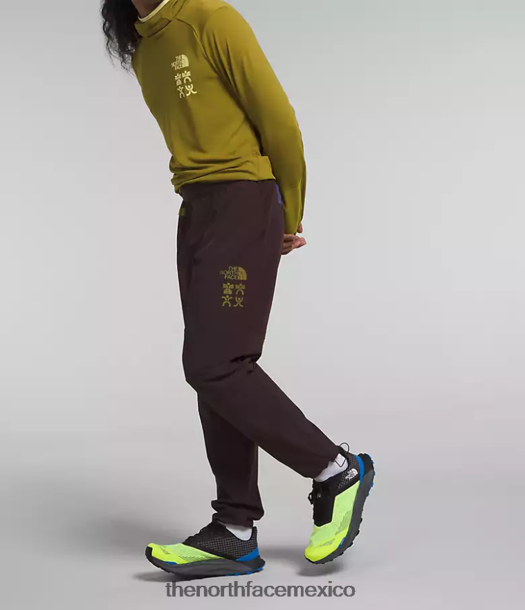 The North Face ropa NFHLJL216 marrón carbón hombres joggers trailwear okt