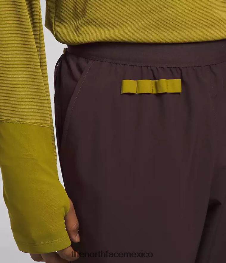 The North Face ropa NFHLJL216 marrón carbón hombres joggers trailwear okt
