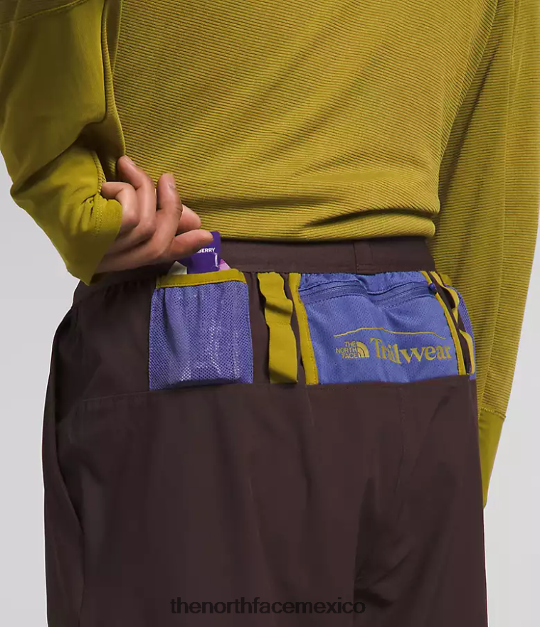 The North Face ropa NFHLJL216 marrón carbón hombres joggers trailwear okt