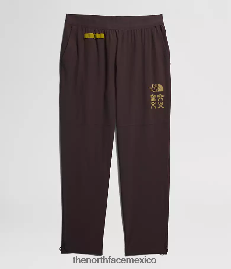 The North Face ropa NFHLJL216 marrón carbón hombres joggers trailwear okt