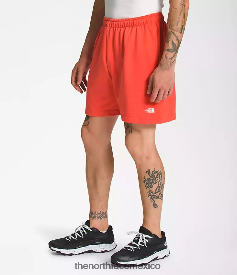 The North Face ropa NFHLJL360 naranja retra hombres shorts de lana con logo sencillo
