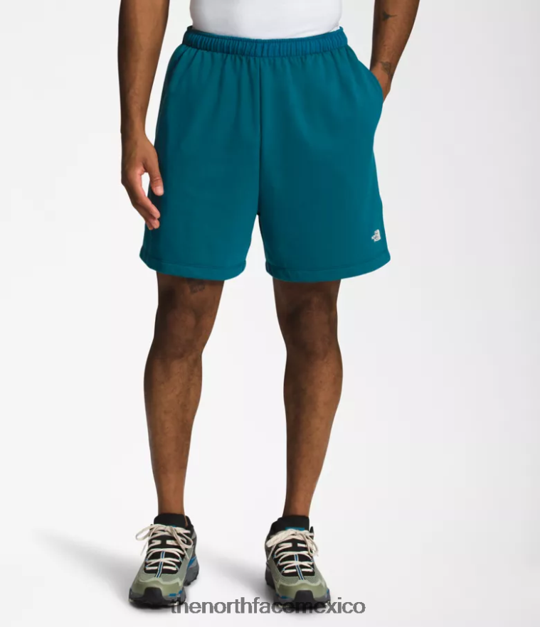 The North Face ropa NFHLJL362 corales azules hombres shorts de lana con logo sencillo